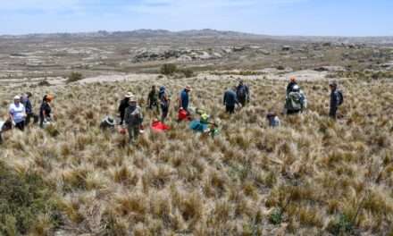 Presentaron el protocolo de acciones para la Restauración Ambiental en zonas incendiadas