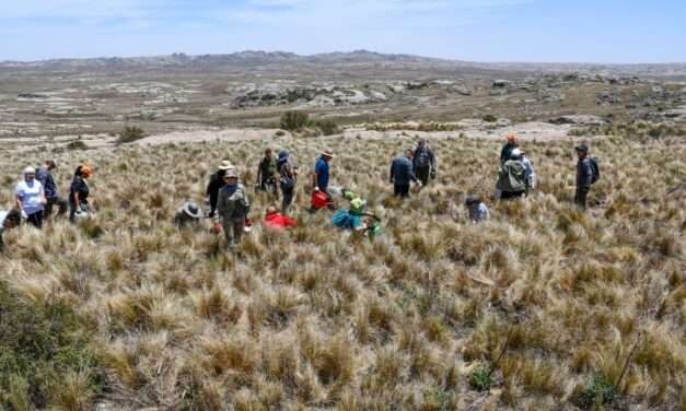 Presentaron el protocolo de acciones para la Restauración Ambiental en zonas incendiadas