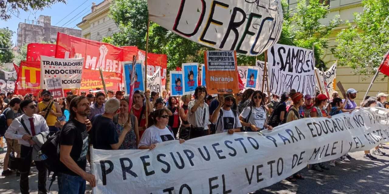 Realizaron una masiva marcha en Córdoba contra el ajuste en educación y salud de Javier Milei