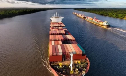 El Gobierno disolvió la Administración General de Puertos, que estaba a cargo de la Hidrovía
