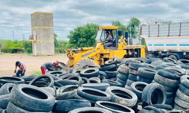 Economía circular y prevención del dengue: Ambiente ya retiró más de 1.000 toneladas de neumáticos en desuso