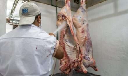 El Sindicato de la Carne de Río Cuarto anunció el inicio de faena en el frigorífico Livorno