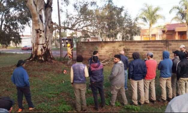 Capacitación sobre Poda del Arbolado Urbano en Vicuña Mackenna