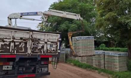 Italo Avanza con las Obras de Adoquinado