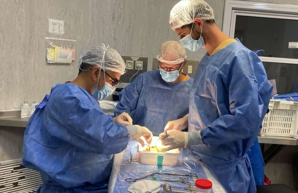 Por primera vez en la provincia se realizó trasplante renal con el uso de las máquinas de perfusión hipotérmicas