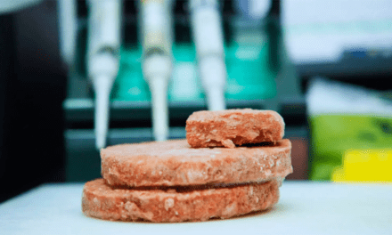 Búfalo, una carne alternativa de alto valor nutricional
