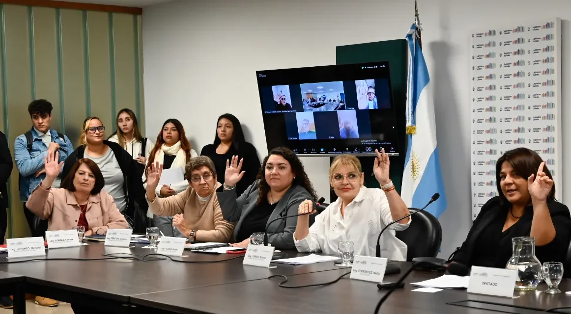La creación del Colegio de Terapia Ocupacional consiguió despacho para ser debatida en la Unicameral