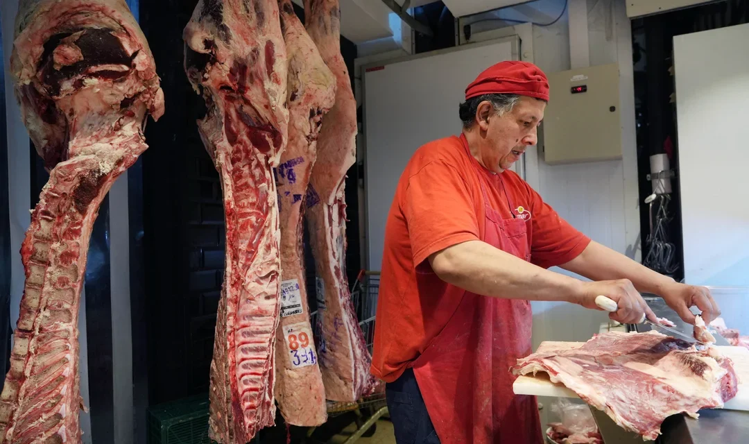 Revelan que las exportaciones de carne bovina cayeron un 36% interanual en marzo