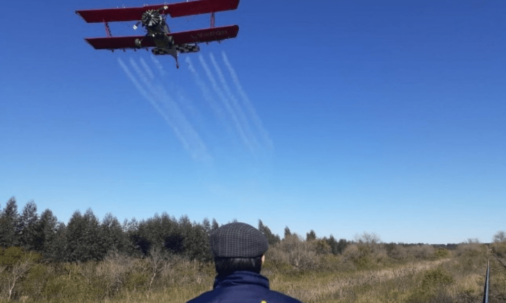 Aviación agrícola y su rol estratégico en el combate de plagas