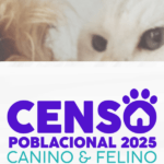 Vicuña Mackenna: la municipalidad realizará un censo poblacional felino y canino