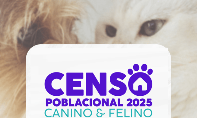 Vicuña Mackenna: la municipalidad realizará un censo poblacional felino y canino