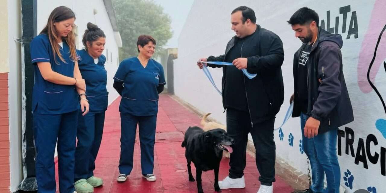 Las Higueras Inaugura Nueva Sala de Zoonosis