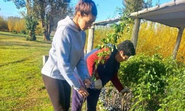 Villa Huidobro recibió nuevas especies nativas para fortalecer su compromiso