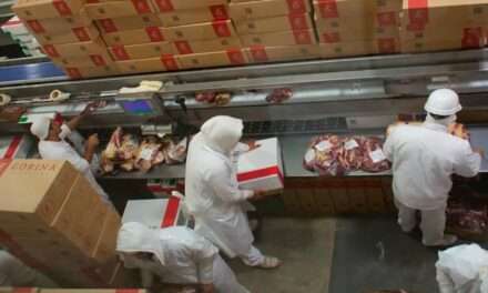 Vuelven a mejorar los números de la exportación de carne argentina