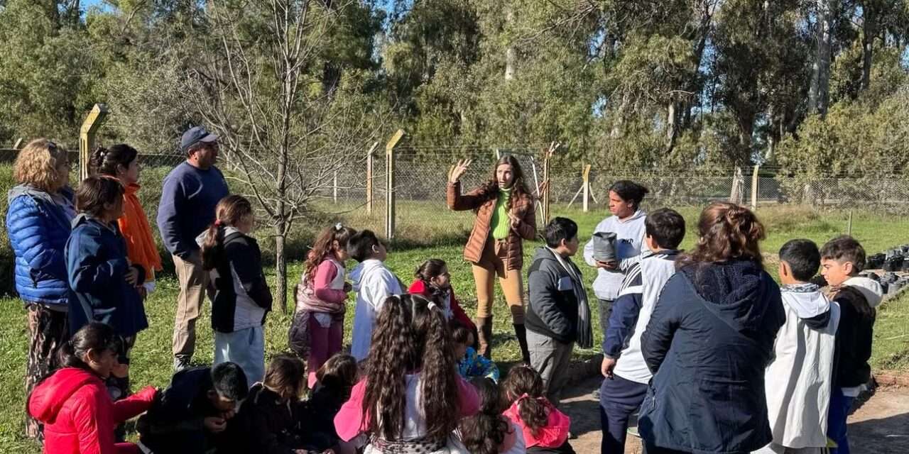 Villa Huidobro: Alumnos visitaron el Vivero Municipal para un proyecto de investigación
