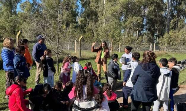 Villa Huidobro: Alumnos visitaron el Vivero Municipal para un proyecto de investigación