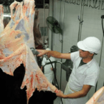 El desempeño exportador de carnes y cueros bovinos: cuánto, cómo y a dónde