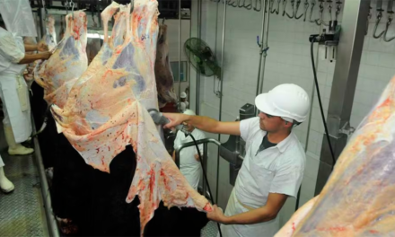 El desempeño exportador de carnes y cueros bovinos: cuánto, cómo y a dónde