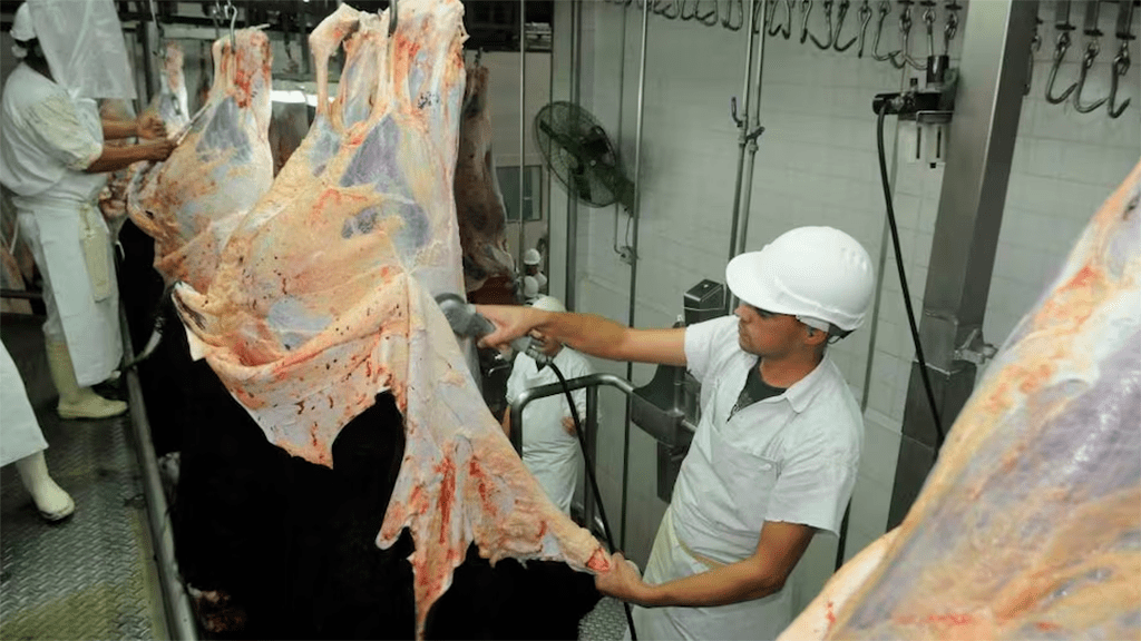 El desempeño exportador de carnes y cueros bovinos: cuánto, cómo y a dónde