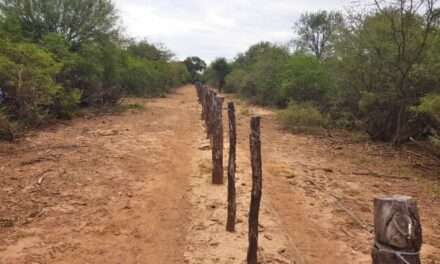 Bioagroindustria presentó buenas prácticas agropecuarias para el manejo del fuego