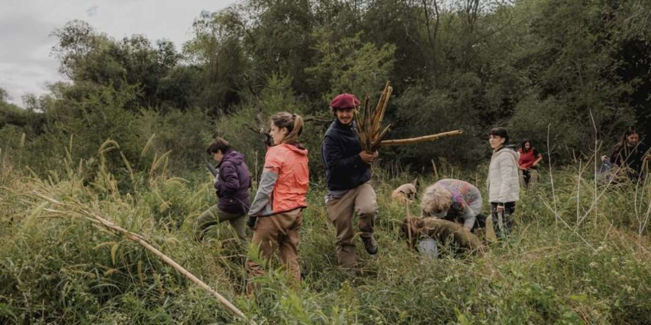 El Bosque de Espinal es un Ecosistema en peligro