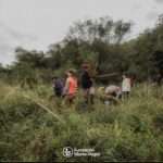 El Bosque de Espinal es un Ecosistema en peligro
