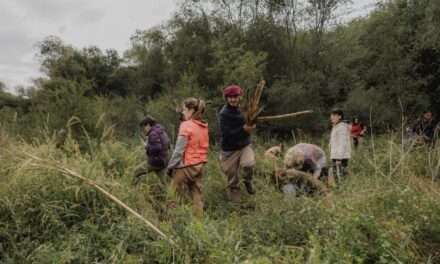 El Bosque de Espinal es un Ecosistema en peligro