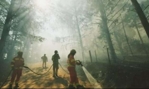 Alerta roja por incendios en Córdoba: riesgo extremo en toda la provincia