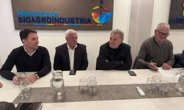 Licitaron la pavimentación del acceso al Parque Industrial de Alejandro