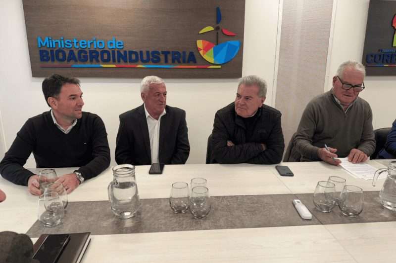 Licitaron la pavimentación del acceso al Parque Industrial de Alejandro