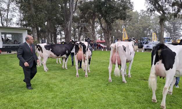 Villa María será sede de la Fiesta Nacional del Holando 2025, con jurado internacional