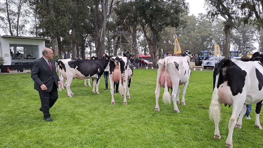 Villa María será sede de la Fiesta Nacional del Holando 2025, con jurado internacional