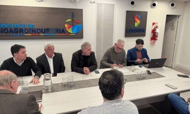 La Provincia licitó la pavimentación del acceso a la zona industrial de Alejandro Roca