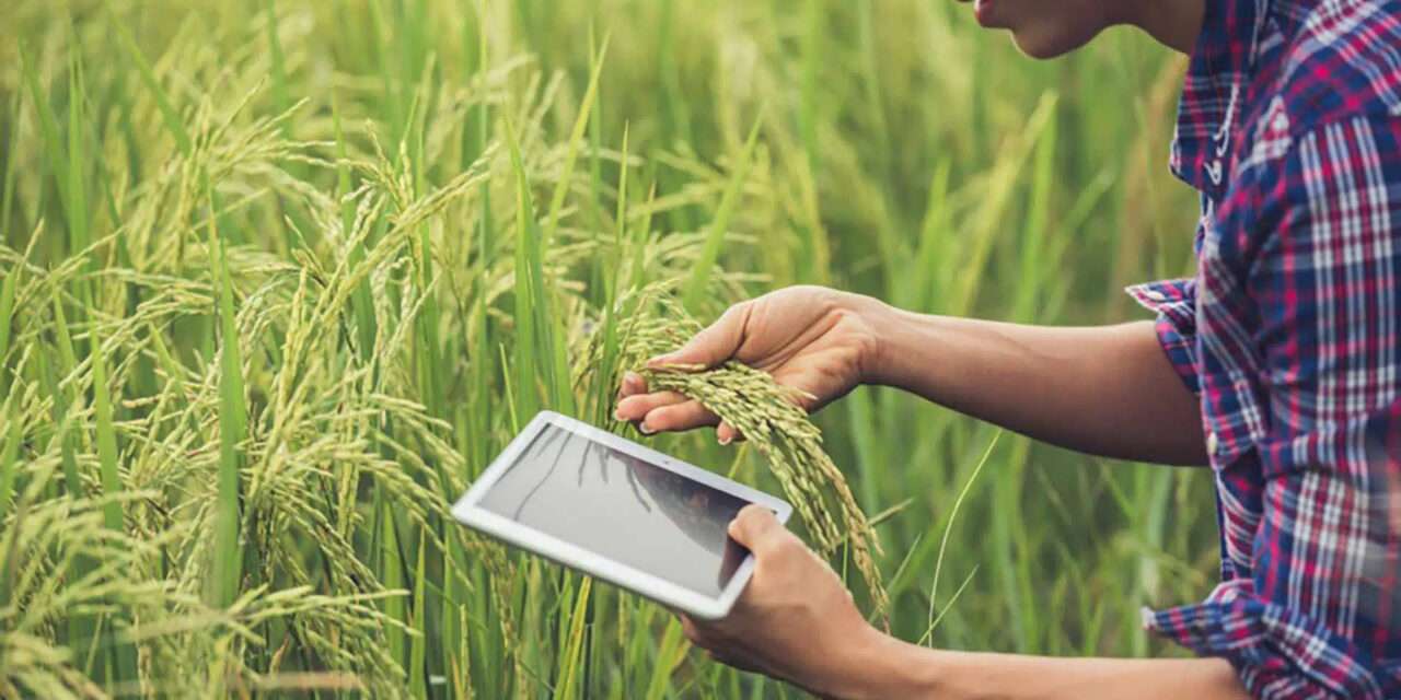 La inteligencia artificial ya pisa fuerte en el agro argentino