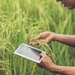 La inteligencia artificial ya pisa fuerte en el agro argentino