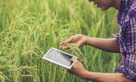 La inteligencia artificial ya pisa fuerte en el agro argentino