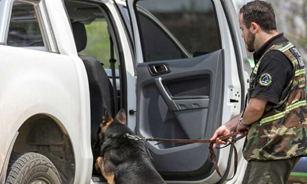 Se retiró el perro más veterano de la Brigada Canina de Policía Ambiental