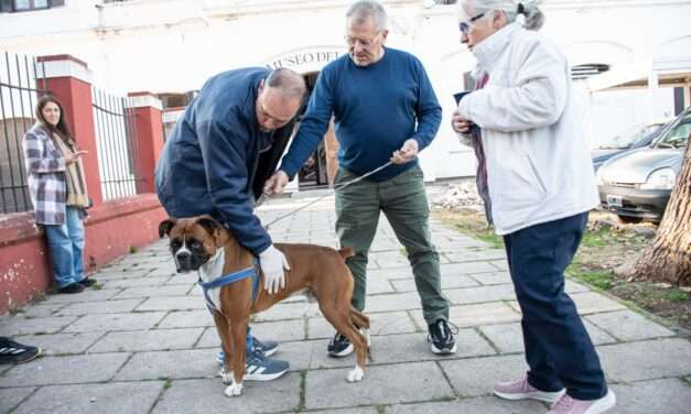 Amplia convocatoria en la jornada de vacunación antirrábica en la Herradura del Andino