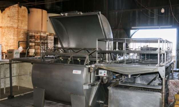 La llegada del gas natural sigue potenciando a emprendimientos del sur sur provincial