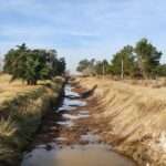 Limpieza de canales pluviales en Jovita para prevenir inundaciones
