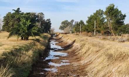 Limpieza de canales pluviales en Jovita para prevenir inundaciones