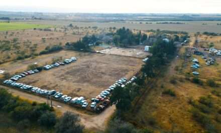 Sigue la compactación de vehículos abandonados: recuperan un espacio clave en Río Cuarto