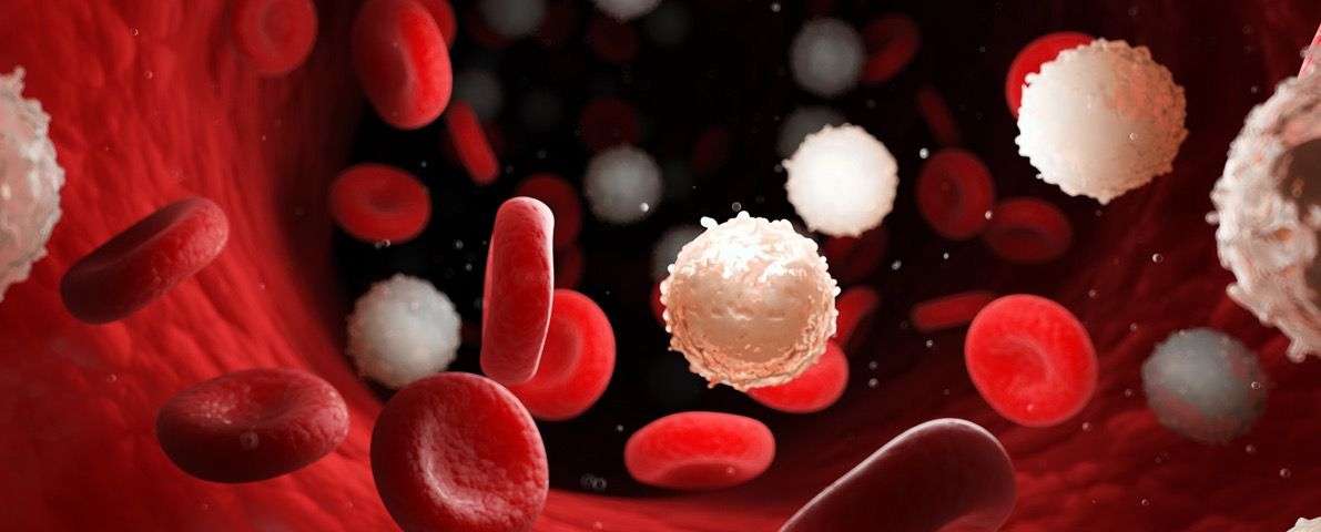 La anemia puede ser una señal temprana de enfermedades graves