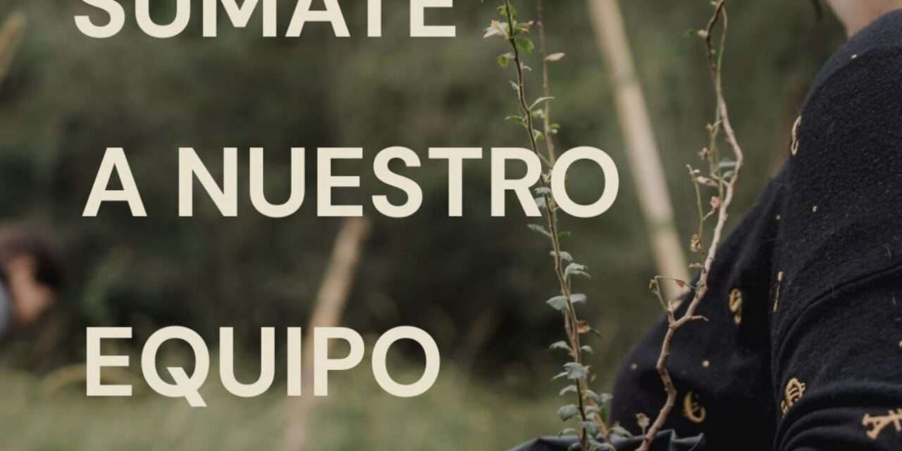 Fundación Monte Alegre abre convocatoria para una pasantía en acción ambiental