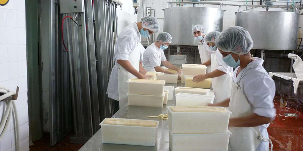 La exportación de lácteos cayó un 8 % en los primeros 5 meses del año