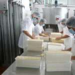 La exportación de lácteos cayó un 8 % en los primeros 5 meses del año