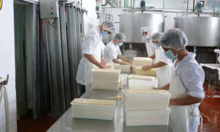 La exportación de lácteos cayó un 8 % en los primeros 5 meses del año