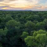 Córdoba inició las transferencias del Programa de Pago por Servicios Ambientales