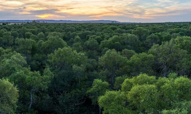 Córdoba inició las transferencias del Programa de Pago por Servicios Ambientales
