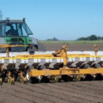 Suben los arrendamientos agrícolas en Córdoba para la campaña 2025/26